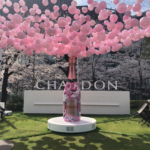 Meet your Posher, Grace - Picture 1 of 1